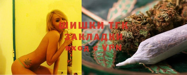 индика Бугульма