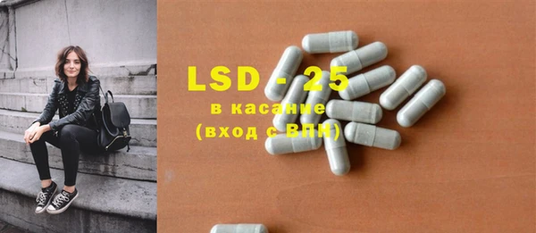 индика Бугульма