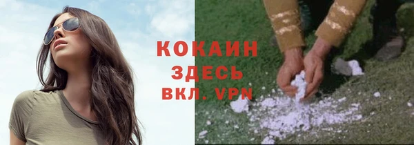 молекула духа Богородск