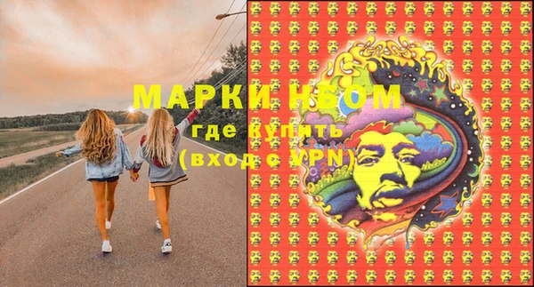индика Бугульма