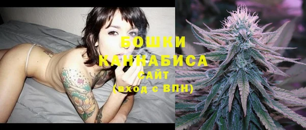 2c-b Богданович