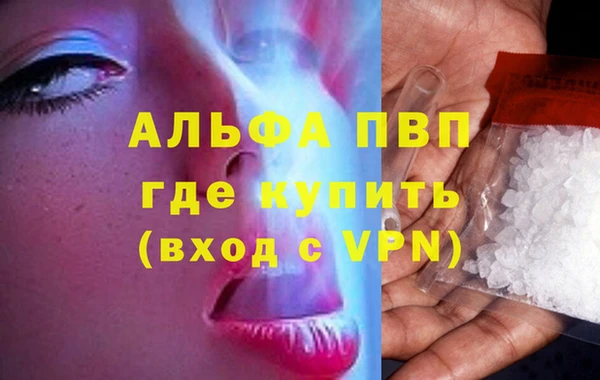 ПСИЛОЦИБИНОВЫЕ ГРИБЫ Снежногорск