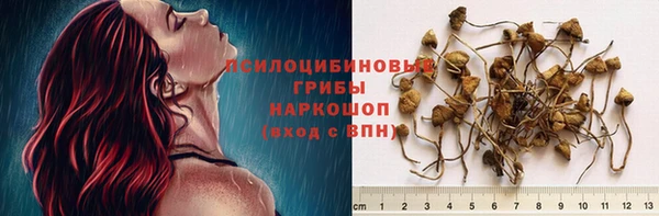 винт Бородино