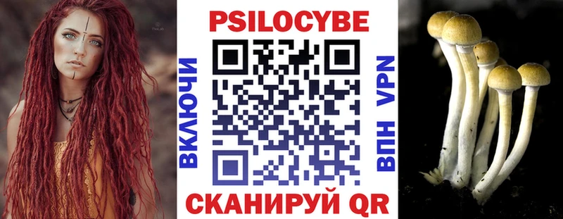 Псилоцибиновые грибы Magic Shrooms  Киселёвск 